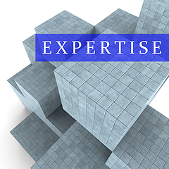 Image showing Expertise Blocks Represents Master Skills 3d Rendering