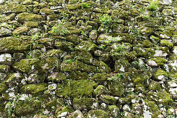 Image showing Old stone wall overgrown with moss