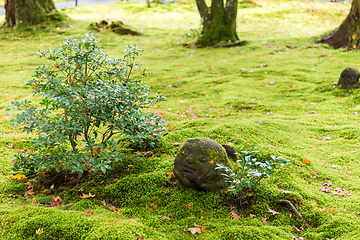 Image showing Japanese statue, Sanzenin Warabe Jizo