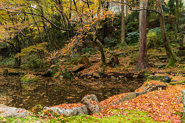 Image showing Japanese temple in autumn season