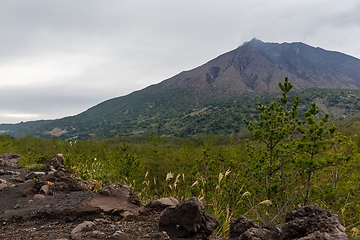 Image showing Sakurajima in Japan
