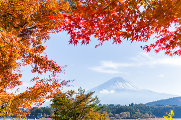 Image showing Maple leaf and Mt.Fuji