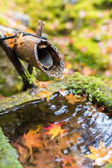 Image showing Japanese bamboo ladle in Japanese Temple