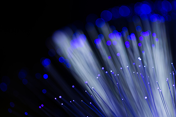 Image showing Bunch of optical fibres