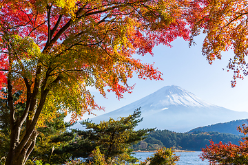 Image showing Fujisan in autumn