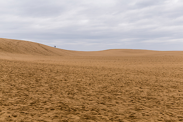 Image showing Tottori Dunes