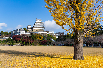 Image showing Himeiji Castle and ginkgo