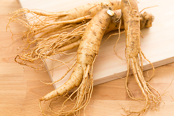 Image showing Korean fresh ginseng