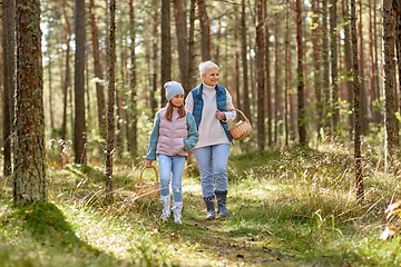 Image showing grandmother and granddaughter picking mushrooms