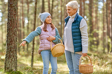 Image showing grandmother and granddaughter picking mushrooms