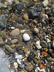 Image showing Wet different sea pebbles on the beach