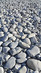 Image showing Nature background from gray sea pebbles