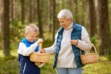 Image showing grandmother and grandson with mushrooms in forest