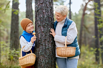 Image showing grandmother and grandson with mushrooms in forest