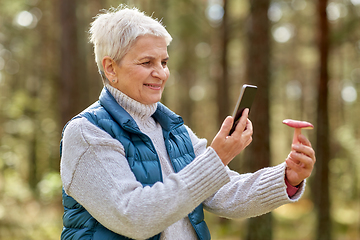 Image showing senior woman using smartphone to identify mushroom