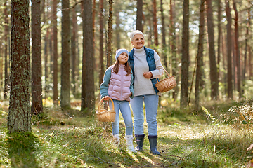 Image showing grandmother and granddaughter picking mushrooms