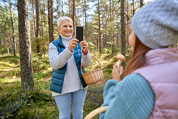 Image showing grandma photographing granddaughter with mushrooms