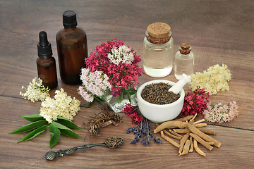 Image showing Homeopathic Natural Herbal Plant Medicine