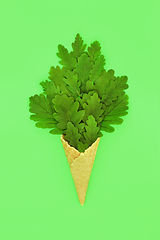 Image showing Surreal Summer Oak Tree Leaf Ice Cream