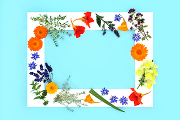 Image showing Flowers and Herbs for Alternative Skincare Beauty Treatments 