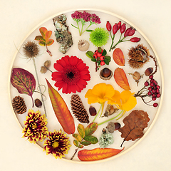 Image showing Autumn Nature Round Shaped Design Composition 