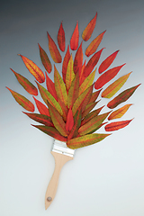Image showing Surreal Autumn Leaf Paintbrush Splash Composition 