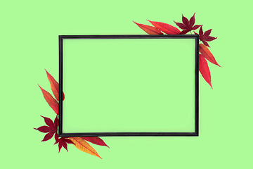 Image showing Autumn Leaf Natural Abstract Frame wiyh Rhus Typhina Leaves