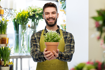 Image showing happy male seller with plant at flower shop