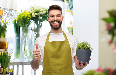 Image showing happy male seller with flower showing thumbs up