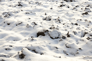 Image showing land covered with snow, close-up