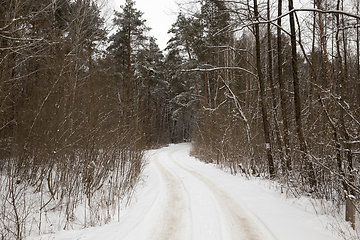 Image showing winter landscape