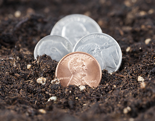 Image showing growing American coins