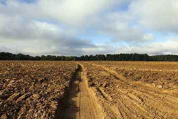 Image showing plowed soil,