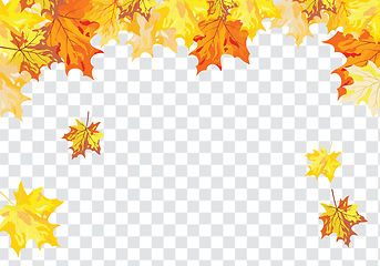 Image showing Maple leaves on transparency grid