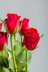 Image showing bouquet fresh red roses