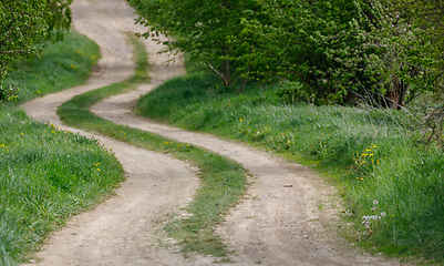 Image showing countryside rural forest path