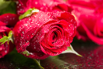 Image showing bouquet fresh red roses