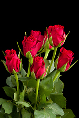 Image showing bouquet fresh red roses