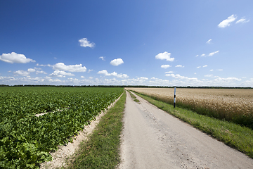 Image showing rural road