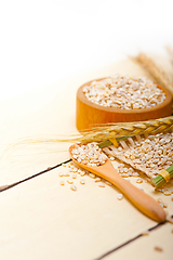 Image showing organic barley grains