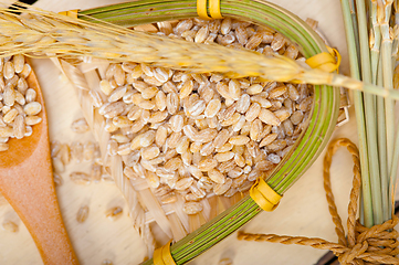 Image showing organic barley grains