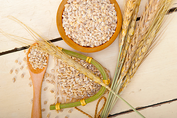 Image showing organic wheat grains