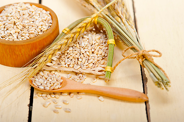 Image showing organic wheat grains