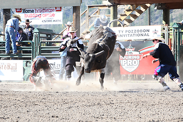 Image showing Ty Pozzobon Invitational PBR