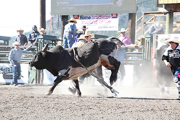 Image showing Ty Pozzobon Invitational PBR