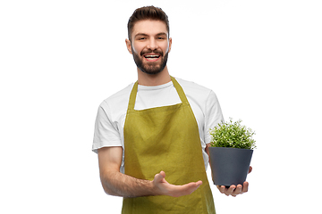 Image showing happy smiling male gardener with flower in pot