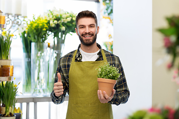 Image showing happy male gardener or farmer with flower in pot