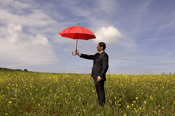 Image showing Insurance agent