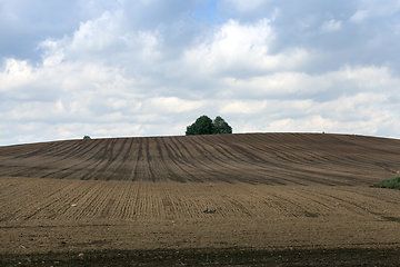 Image showing striped field