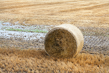 Image showing stack of straw